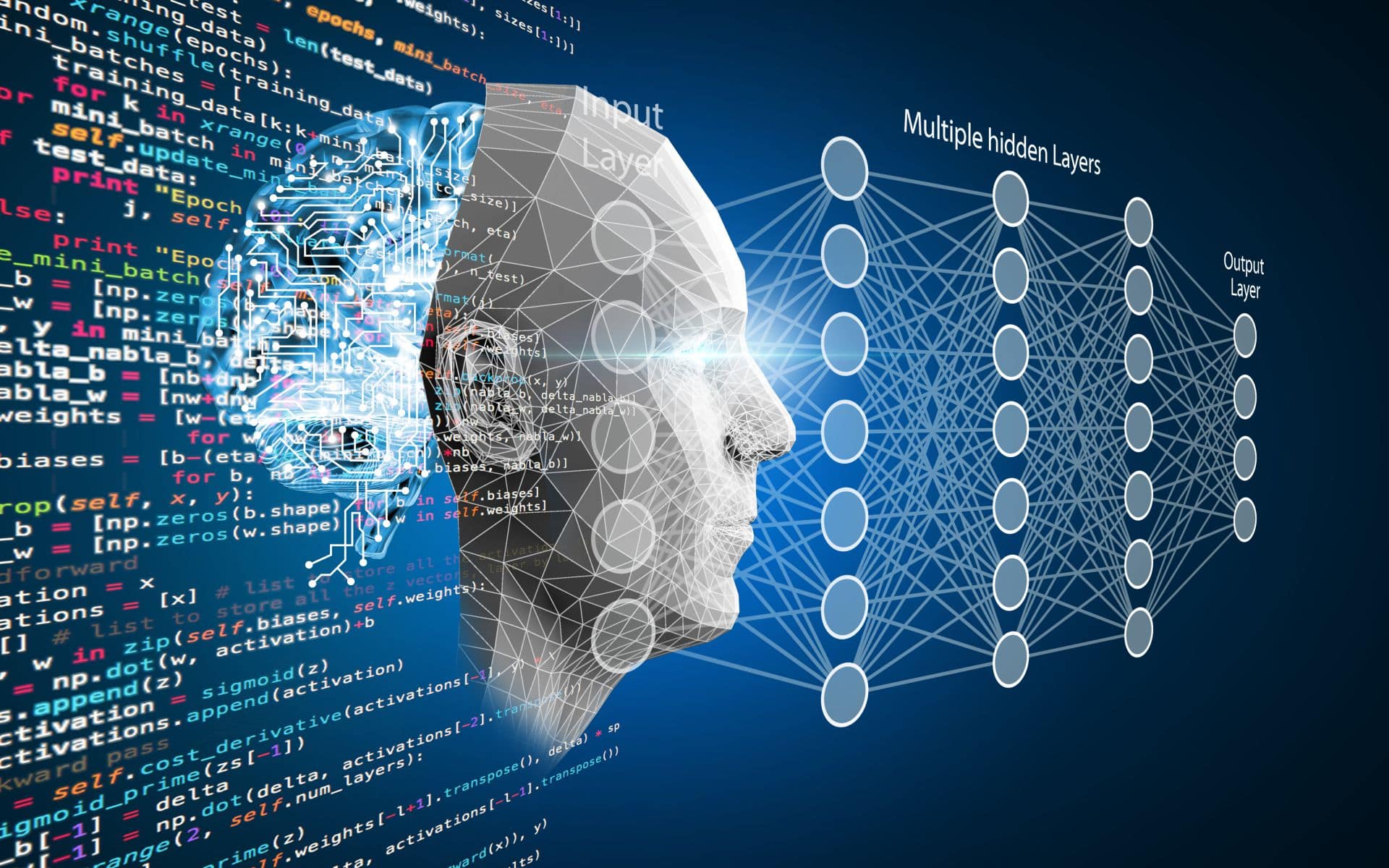 Software & AI-ML